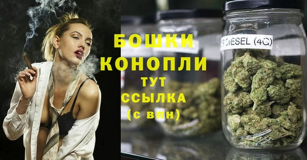 ГАЛЛЮЦИНОГЕННЫЕ ГРИБЫ Белоозёрский