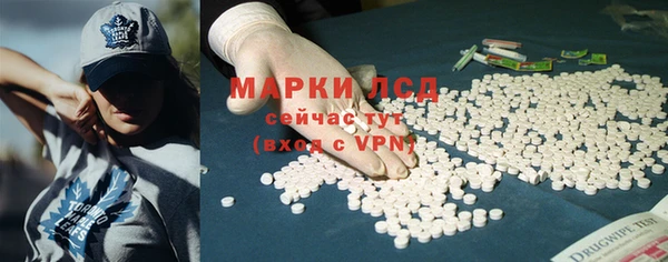 ГАЛЛЮЦИНОГЕННЫЕ ГРИБЫ Белоозёрский