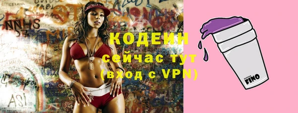 apvp Богданович