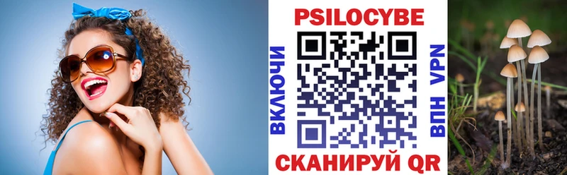 omg вход  Бугульма  Псилоцибиновые грибы Psilocybine cubensis 